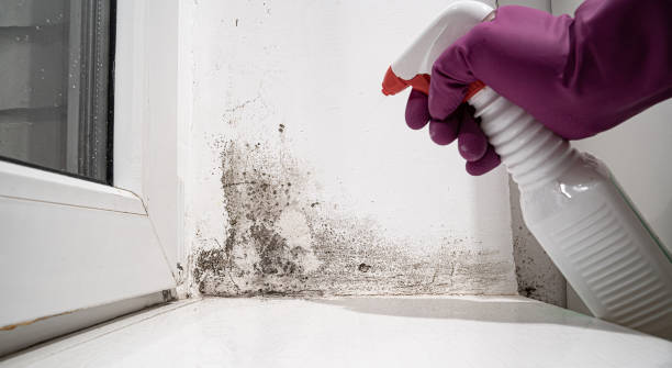 Best Water damage restoration services  in Crompond, NY